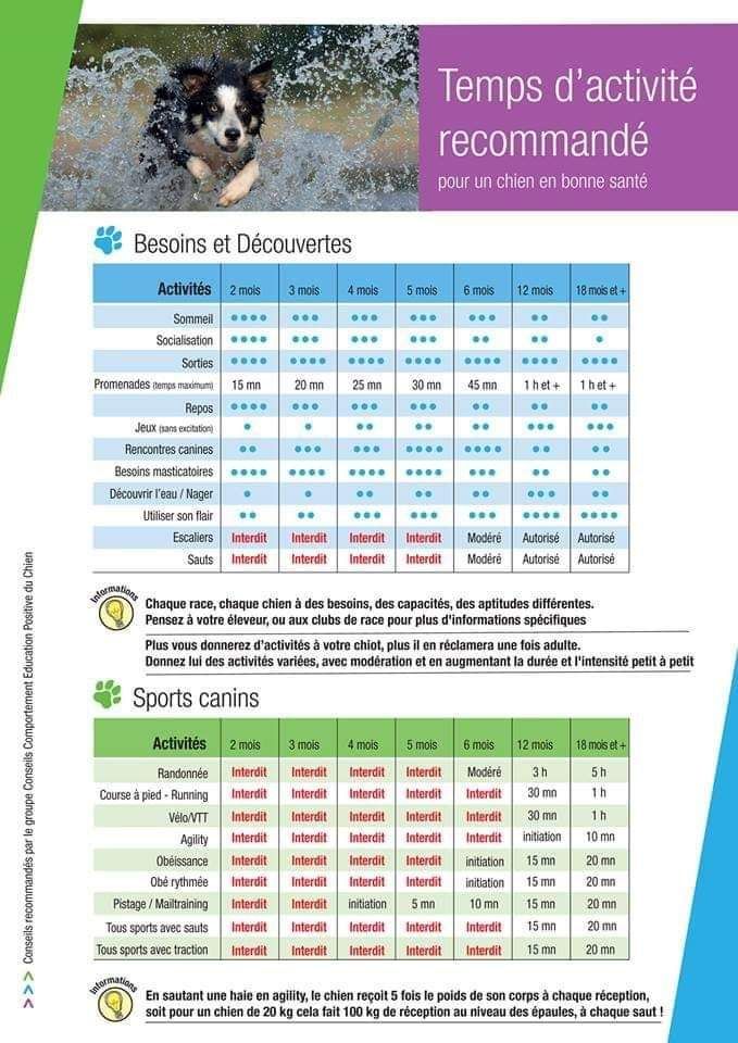 Temps d'activité recommandé