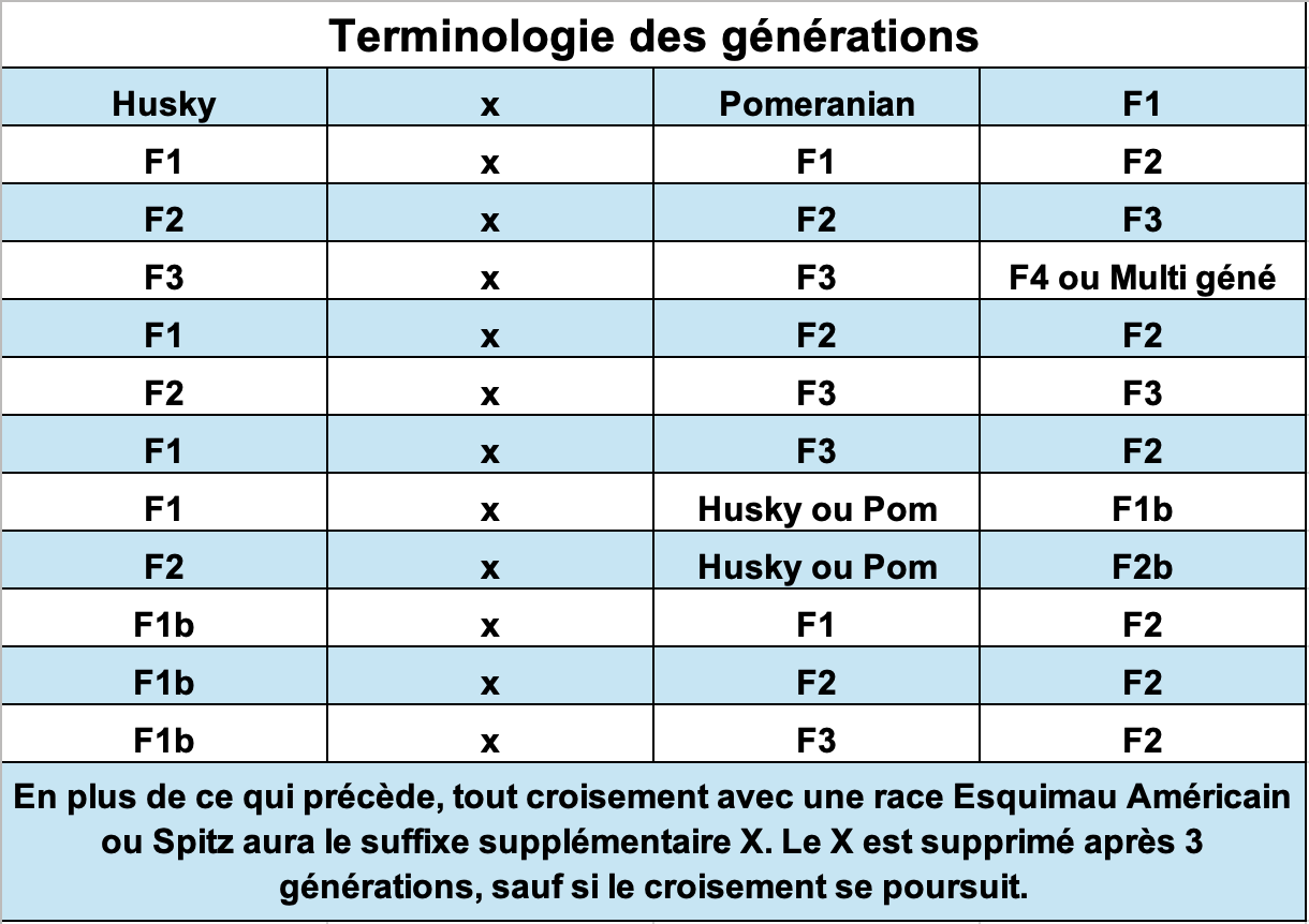 Tableau des générations
