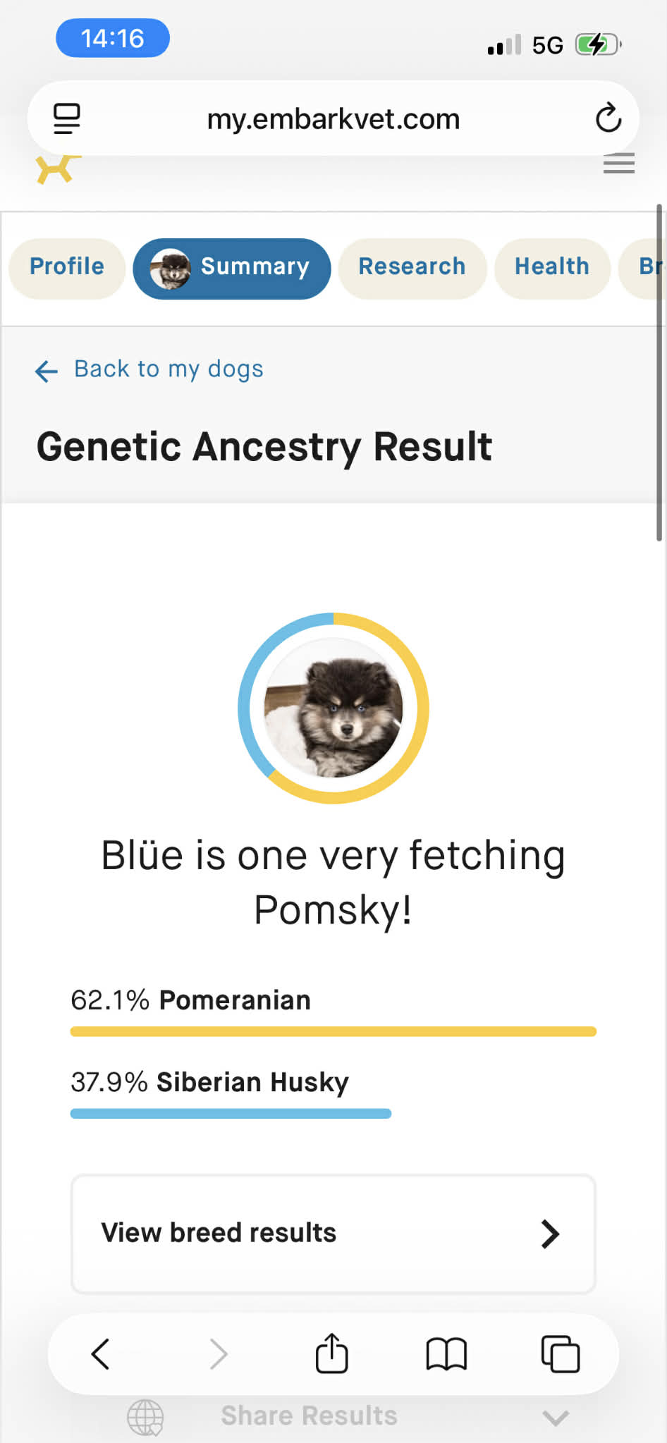 Exemple de résultat Embark