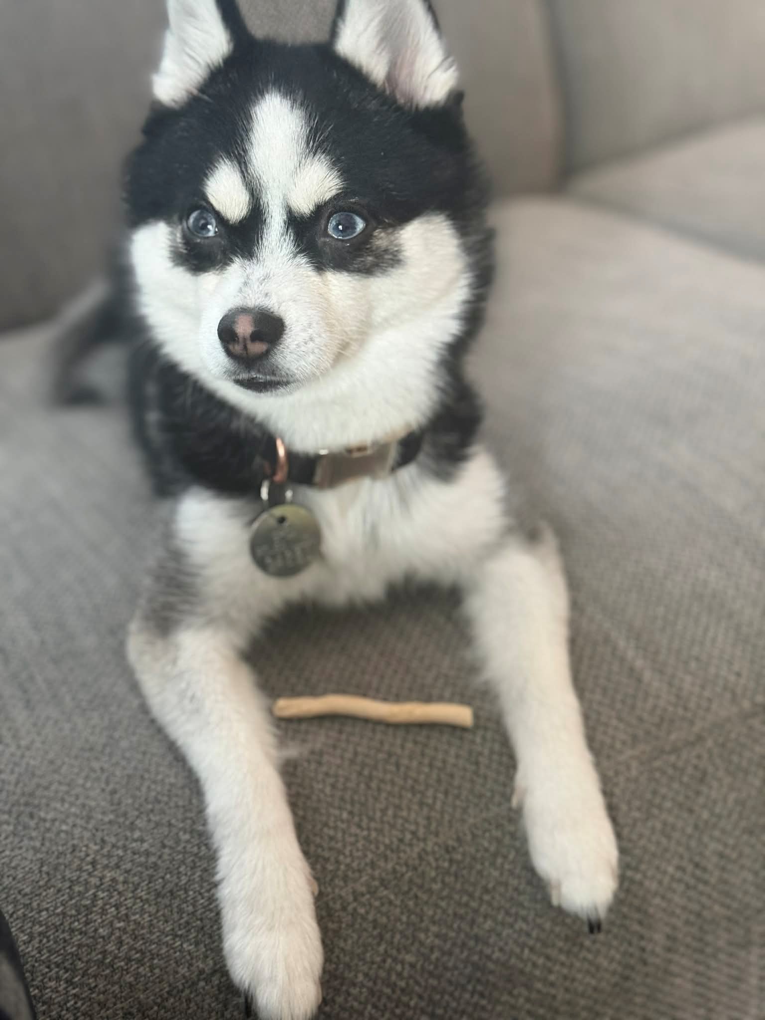 Valentin